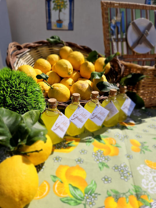 Homemade lemon juice Homemade lemon juice